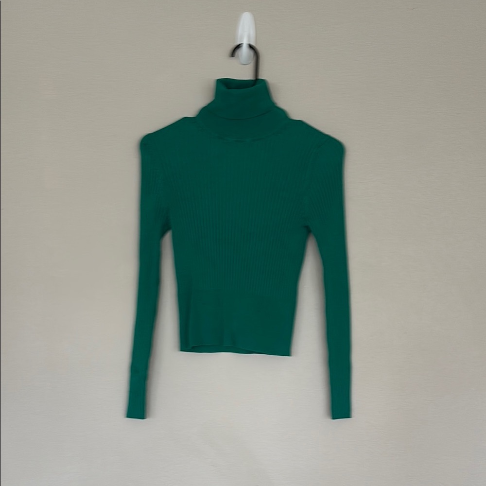 Emerald Green Ribbed Knit Turtleneck